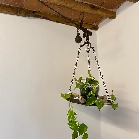 Transito Divino Gaiole Gaiole in Chianti